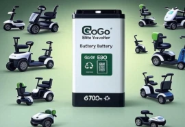 GoGo Elite Traveller Battery Guide Everything You Need to Know