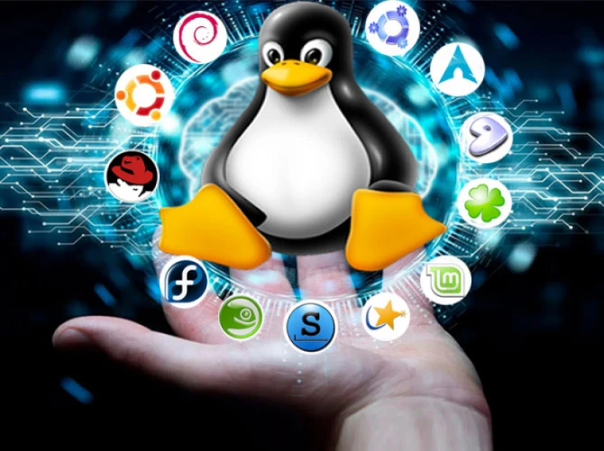 What Is Linux? A Beginner’s Guide to the Open-Source OS