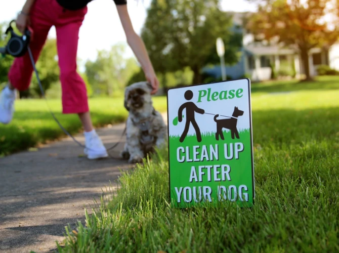 The Ultimate Guide to Home Dog Waste Stations: Keeping Your Yard Clean and Hygienic