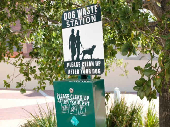 Dog Waste Station for Home: Keeping Your Yard Clean